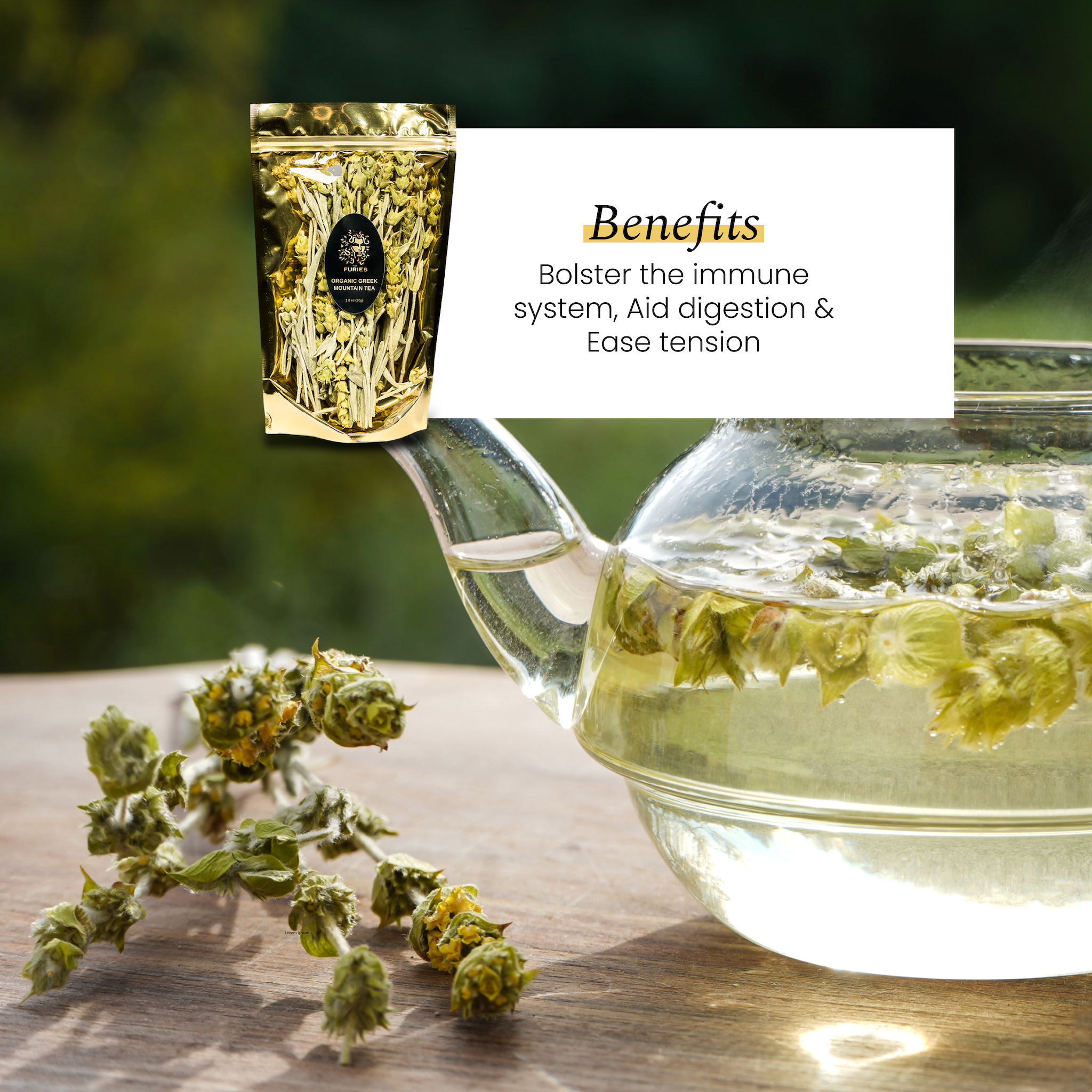 Greek Mountain Tea