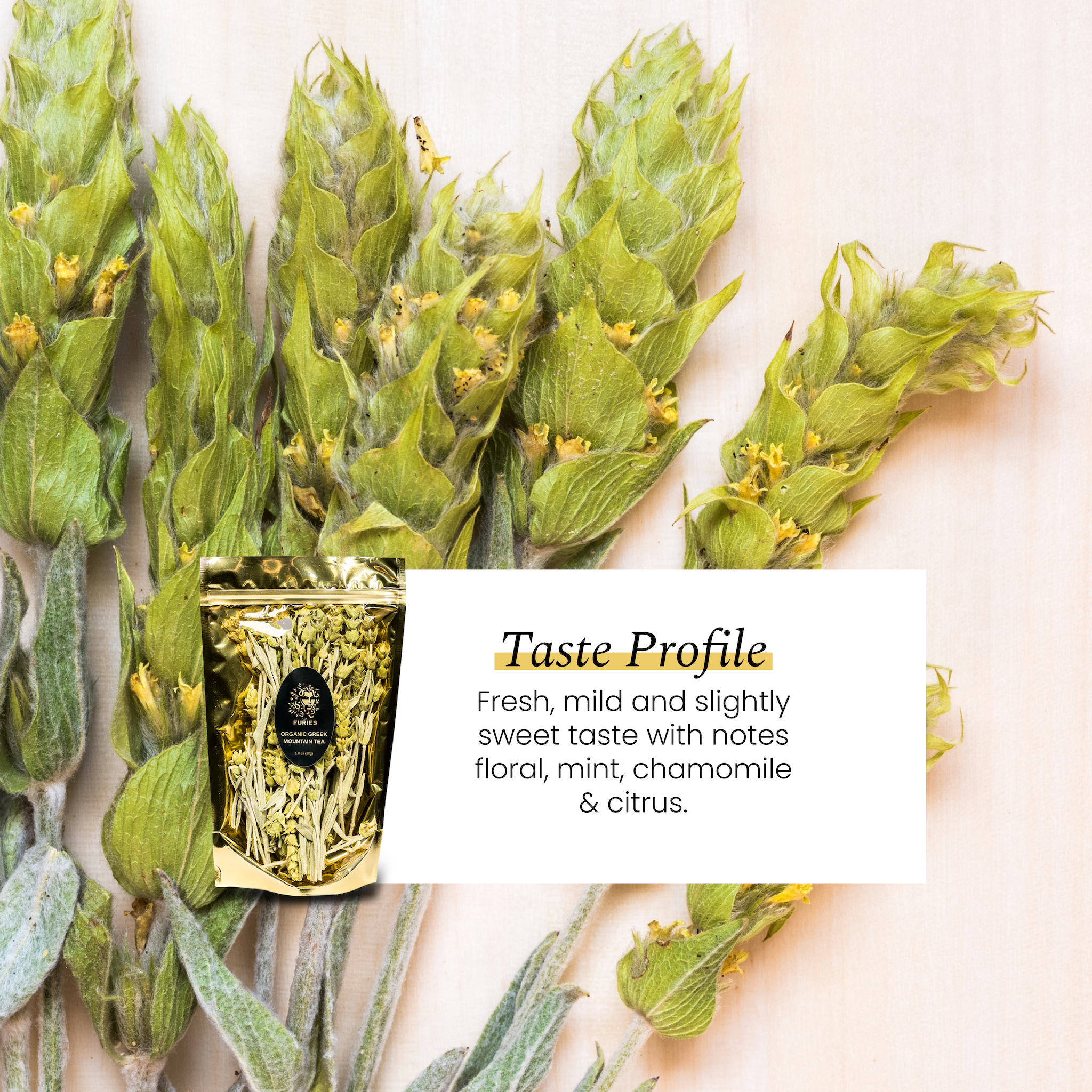 Greek Mountain Tea