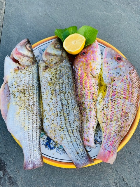 Mediterranean Grilled Whole Sea Bass & Red Snapper with EVOO, lemon, oregano and fresh herbs